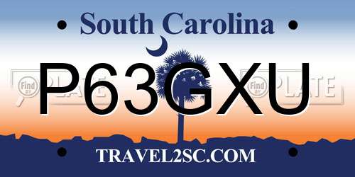 P63GXU South Carolina License Plate