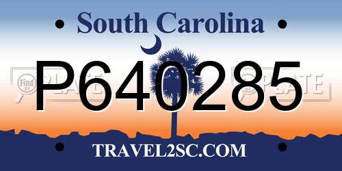 P640285 South Carolina License Plate