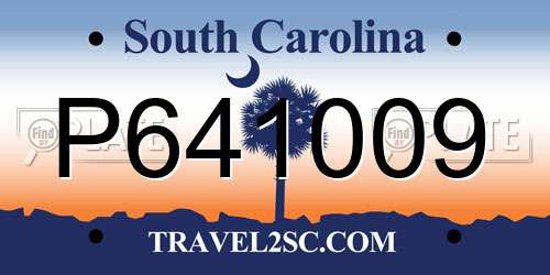 P641009 South Carolina License Plate