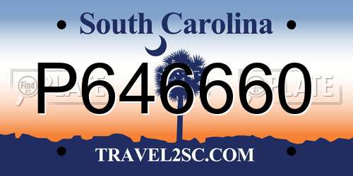 P646660 South Carolina License Plate