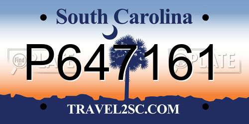 P647161 South Carolina License Plate