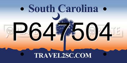 P647504 South Carolina License Plate