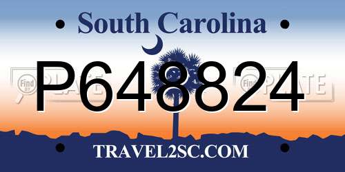 P648824 South Carolina License Plate