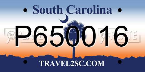P650016 South Carolina License Plate