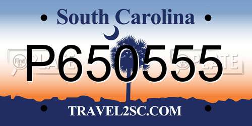 P650555 South Carolina License Plate