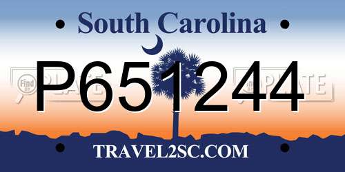 P651244 South Carolina License Plate