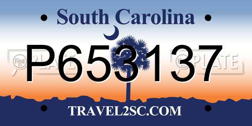 P653137 South Carolina License Plate