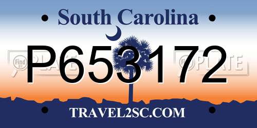 P653172 South Carolina License Plate