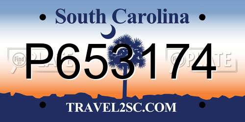 P653174 South Carolina License Plate