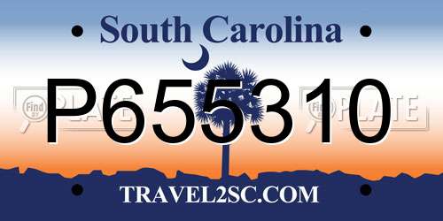 P655310 South Carolina License Plate