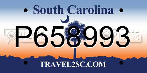 P658993 South Carolina License Plate