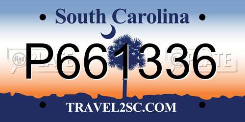 P661336 South Carolina License Plate