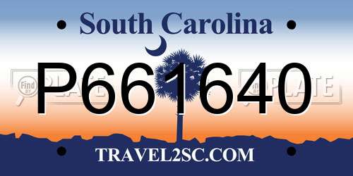 P661640 South Carolina License Plate