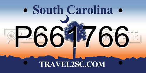 P661766 South Carolina License Plate