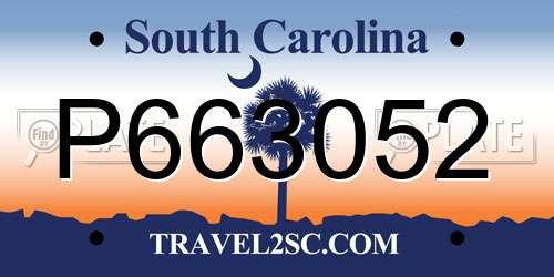 P663052 South Carolina License Plate