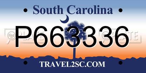 P663336 South Carolina License Plate
