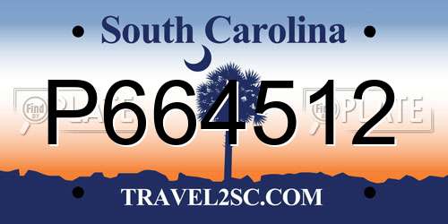 P664512 South Carolina License Plate