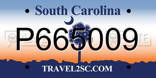 P665009 South Carolina License Plate