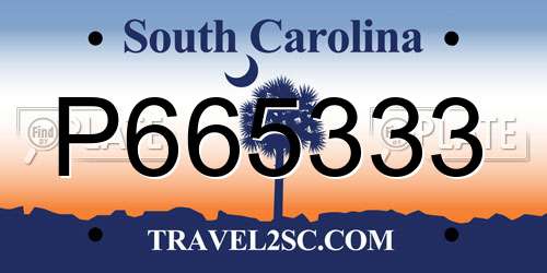 P665333 South Carolina License Plate
