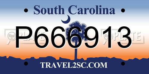 P666913 South Carolina License Plate