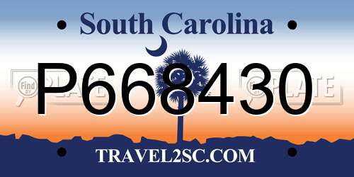 P668430 South Carolina License Plate