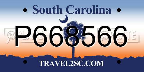 P668566 South Carolina License Plate