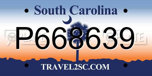 P668639 South Carolina License Plate