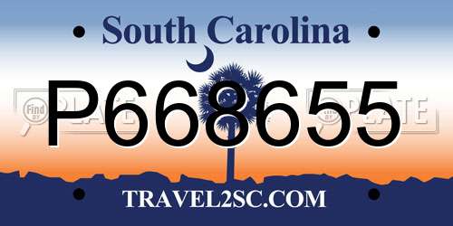 P668655 South Carolina License Plate