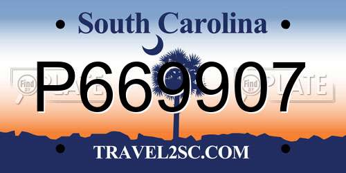 P669907 South Carolina License Plate