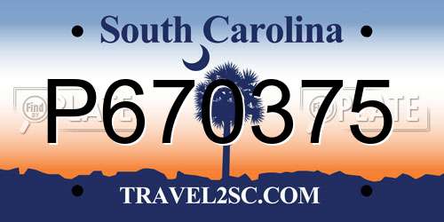 P670375 South Carolina License Plate