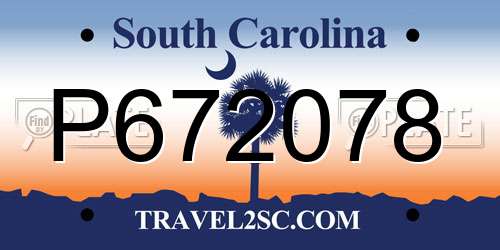 P672078 South Carolina License Plate