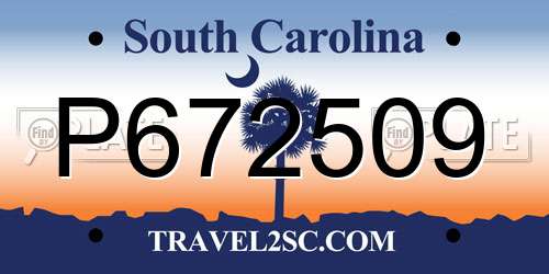 P672509 South Carolina License Plate
