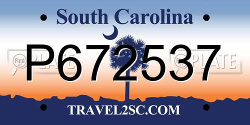 P672537 South Carolina License Plate