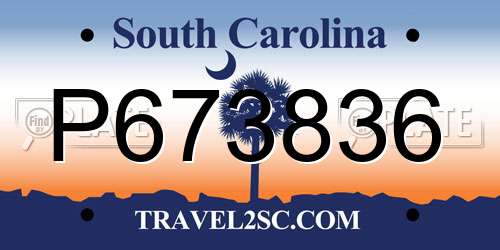P673836 South Carolina License Plate