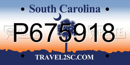 P675918 South Carolina License Plate