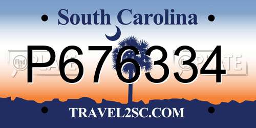 P676334 South Carolina License Plate