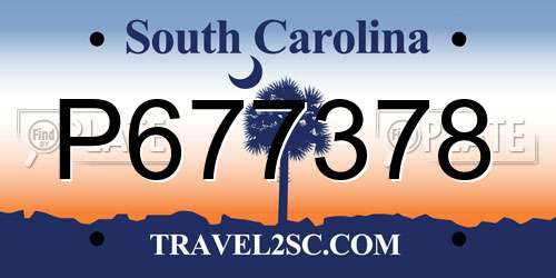 P677378 South Carolina License Plate