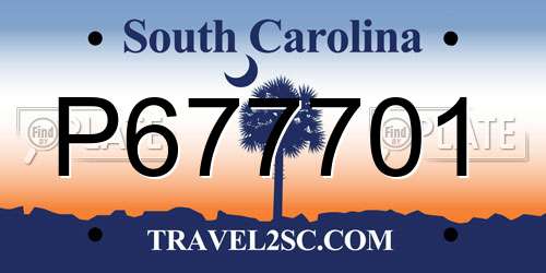 P677701 South Carolina License Plate