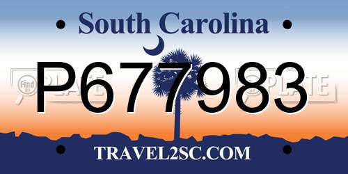 P677983 South Carolina License Plate