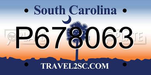 P678063 South Carolina License Plate