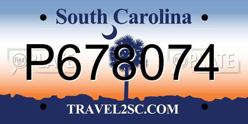 P678074 South Carolina License Plate
