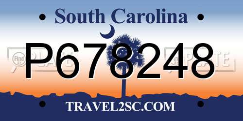 P678248 South Carolina License Plate