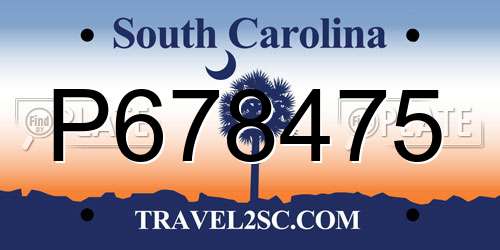 P678475 South Carolina License Plate