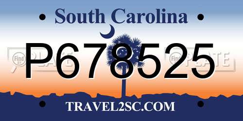 P678525 South Carolina License Plate
