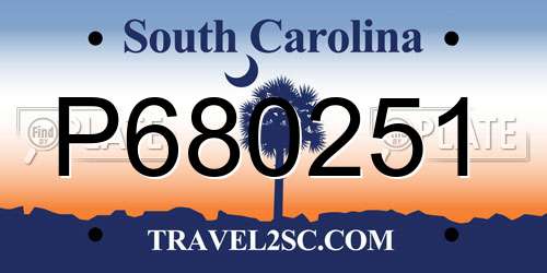P680251 South Carolina License Plate