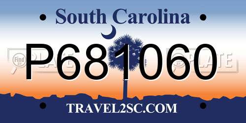 P681060 South Carolina License Plate