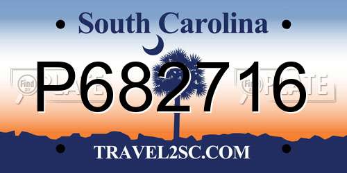 P682716 South Carolina License Plate