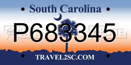 P683345 South Carolina License Plate