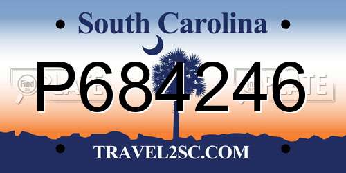P684246 South Carolina License Plate
