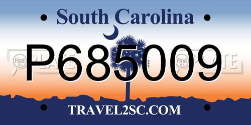 P685009 South Carolina License Plate